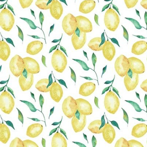 Lemon Drop|Small Fruit on White |Renee Davis