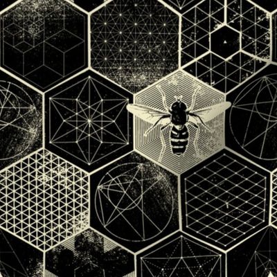 The Honeycomb Conjecture-black