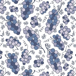 Purple grapes on white