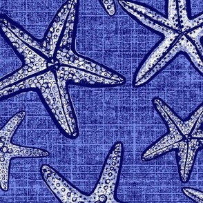 starfish beach textures in blue
