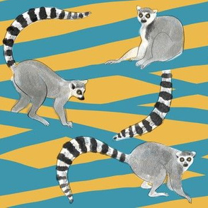 Cute lemurs_2