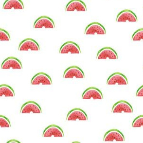 Watermelon Rainbows |Pink and Green Fruit Slices|Renee Davis