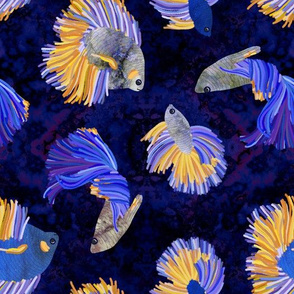 Tropical Fish in Blue & Yellow