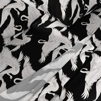 Swans Flying in Black