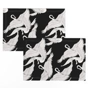 Swans Flying in Black