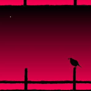 quail on fence w/ evening star