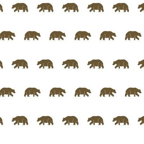 Brown Bears