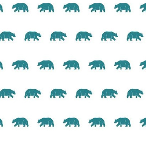 Teal Bears