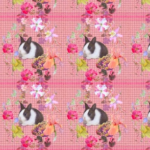 8x8-Inch Wreaths on Peachy-Pink Background with Baby Rabbits