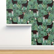 Okapi Animalier