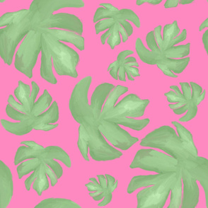 green monstera leaves on hot pink