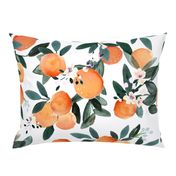 Dear Clementine white oranges XL