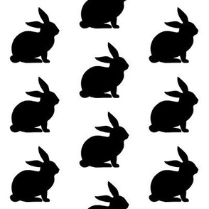 Black & White Rabbit