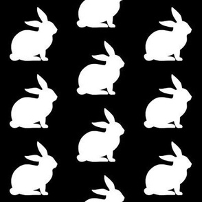 Black & White Rabbits