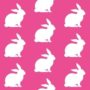 Pink Rabbits