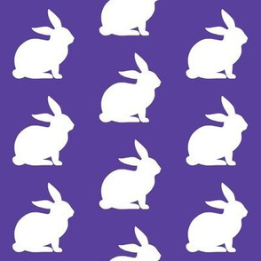 Purple Rabbits