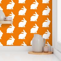 Orange Rabbits