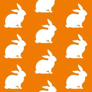 Orange Rabbits