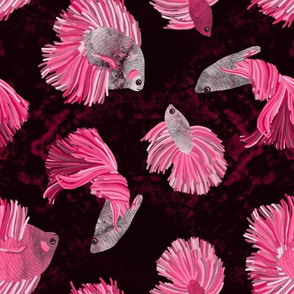 Tropical Fish in Pink