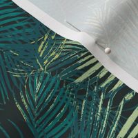 Tropical palm leaves