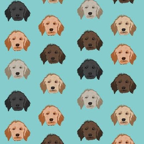 golden doodle dog fabric - dog head fabric, dogs, dog coats, dog breeds, dog fabric - blue