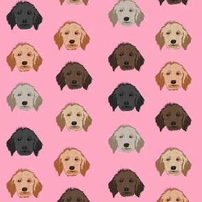 golden doodle dog fabric - dog head fabric, dogs, dog coats, dog breeds, dog fabric - pink