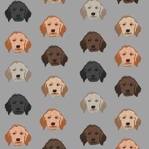 golden doodle dog fabric - dog head fabric, dogs, dog coats, dog breeds, dog fabric - grey