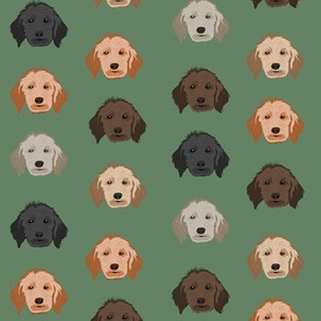 golden doodle dog fabric - dog head fabric, dogs, dog coats, dog breeds, dog fabric - green