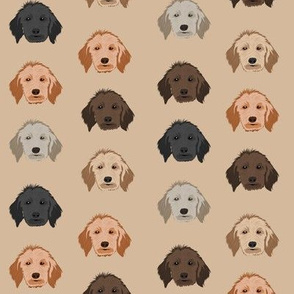 golden doodle dog fabric - dog head fabric, dogs, dog coats, dog breeds, dog fabric -  tan