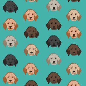 golden doodle dog fabric - dog head fabric, dogs, dog coats, dog breeds, dog fabric - turquoise
