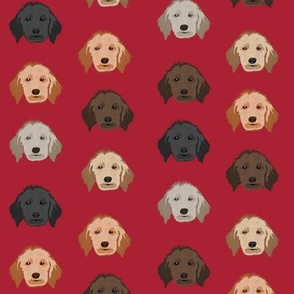 golden doodle dog fabric - dog head fabric, dogs, dog coats, dog breeds, dog fabric - red
