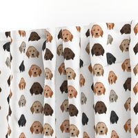 golden doodle dog fabric - dog head fabric, dogs, dog coats, dog breeds, dog fabric - white
