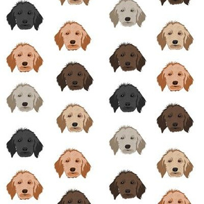 golden doodle dog fabric - dog head fabric, dogs, dog coats, dog breeds, dog fabric - white