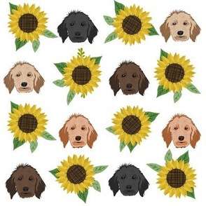doodle dog sunflower fabric - dog head fabric, golden doodle fabric, doodle dogs - white
