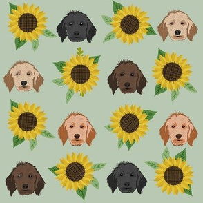 doodle dog sunflower fabric - dog head fabric, golden doodle fabric, doodle dogs - green