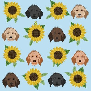 doodle dog sunflower fabric - dog head fabric, golden doodle fabric, doodle dogs - light blue