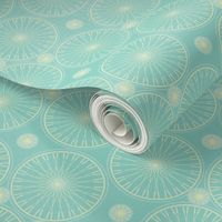 bicycle wheels and gears seafoam