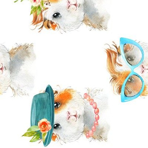 Guinea Pig Chic (white) LARGER scale, ROTATED