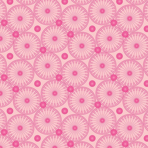 bicyclewheels_and_gears in the pink