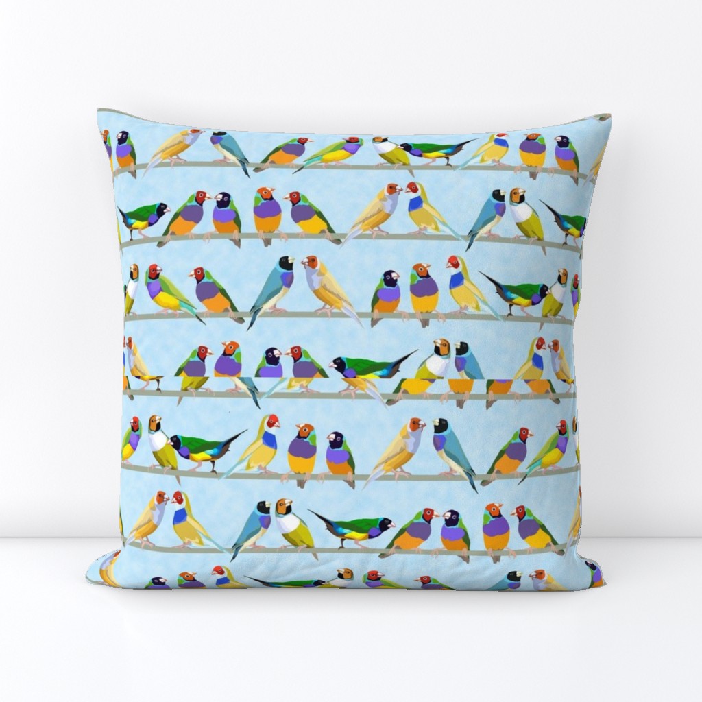 Glorious Gouldian Finches-pale blue