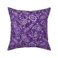 Purple Soma Paisley - Textured