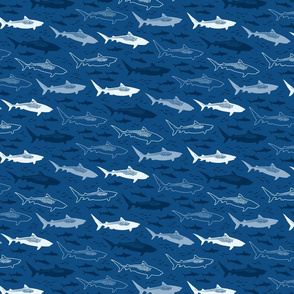 stealth tiger sharks (classic blue smaller)