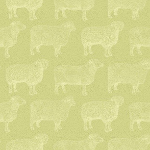 Classic White Sheep on Light Green (Large Print Size)