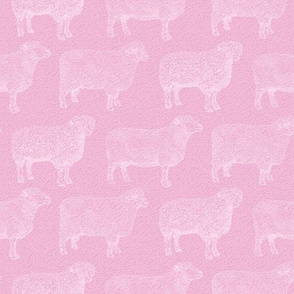 Classic White Sheep on Baby Pink (Large Print Size)