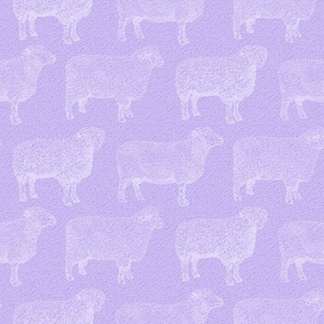 Classic White Sheep on Soft Purple (Large Print Size)