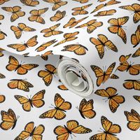 (micro) Monarch butterflies - OG - C20BS