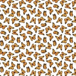 (micro) Monarch butterflies - OG - C20BS