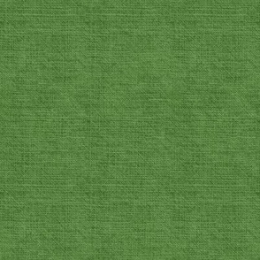 Rustic Texture, Grass Green