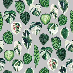variegated palm plants fabric - palm print, monstera fabric, palm print wallpaper, monstera wallpaper, variegated leaves - grey