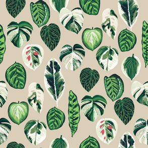 variegated palm plants fabric - palm print, monstera fabric, palm print wallpaper, monstera wallpaper, variegated leaves - tan